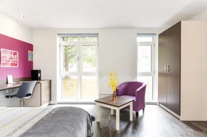 Całe miejsce w rezydencji 36 Edward St, Sheffield S3 7HX, United Kingdom               , obraz 20 25
