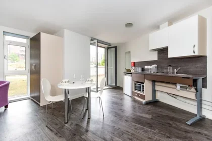Całe miejsce w rezydencji 36 Edward St, Sheffield S3 7HX, United Kingdom               , obraz 21 25