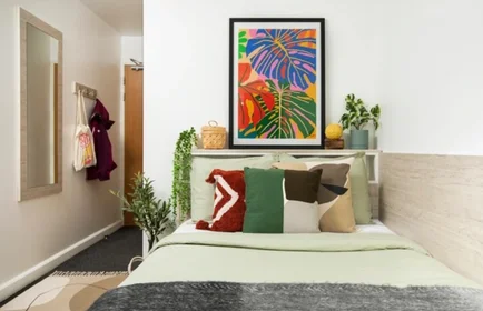 {area} içinde aydınlık özel oda