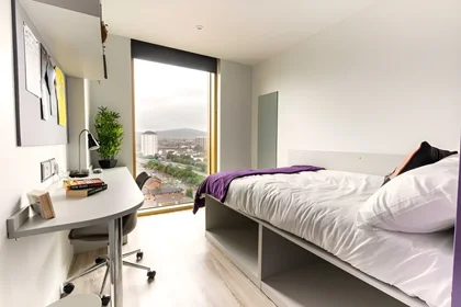 Bright private room in {area}
