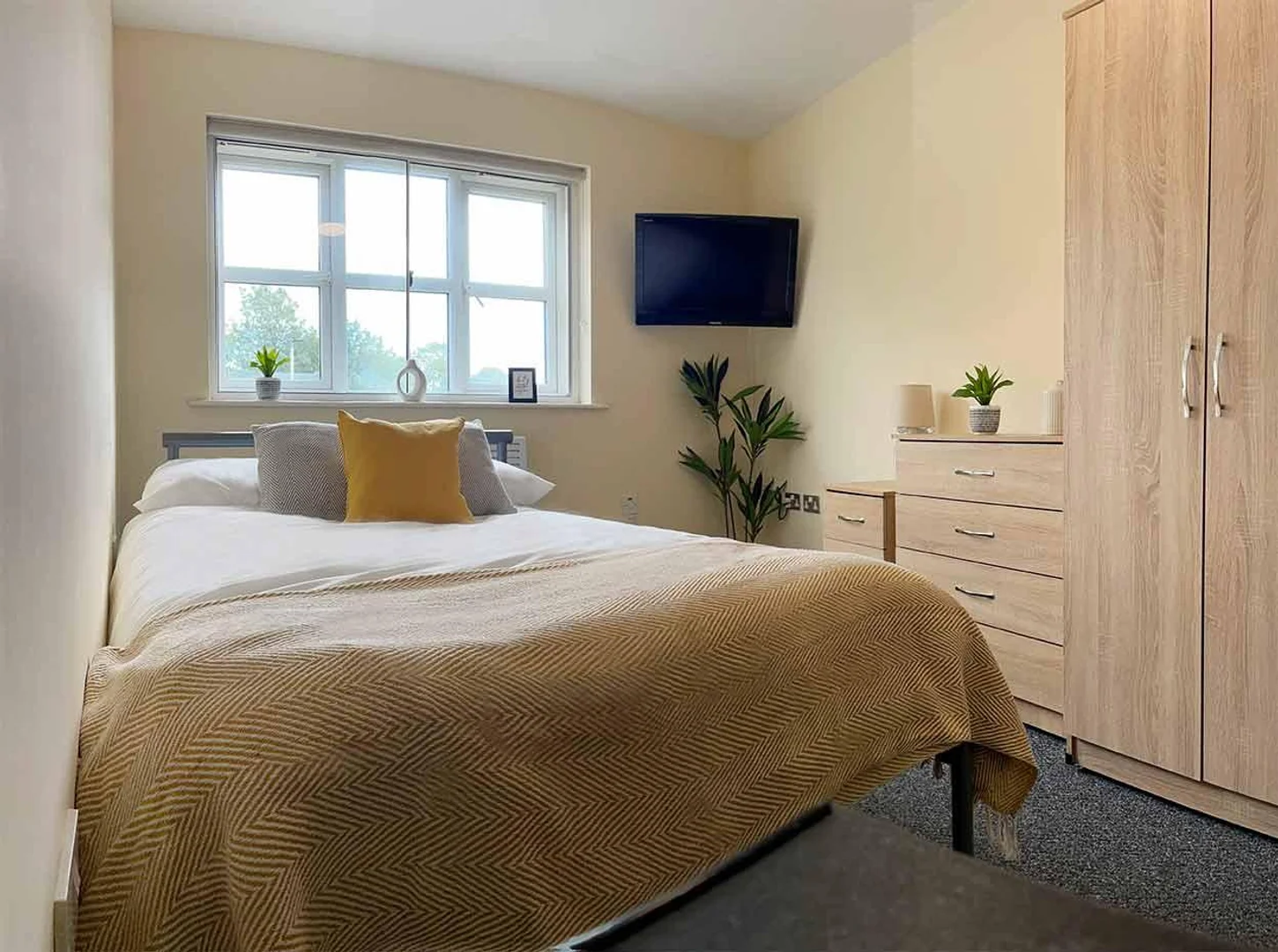 Chambre d'étudiant économique avec emplacement pratique dans 