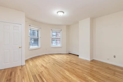 Entire apartment at 38, South Huntington Ave., Unit 1, Mission Hill, Boston, MA, 02130, image 1 of 10