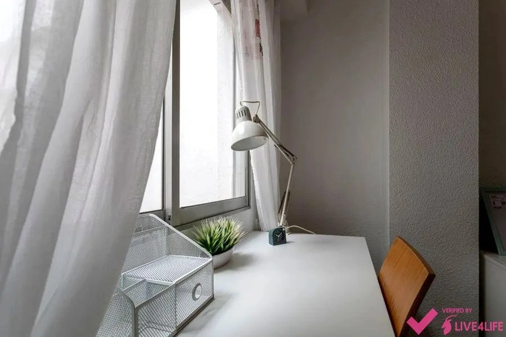 Budget-friendly student room close to campus in 