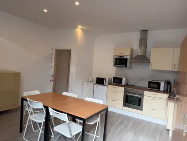Private room at Rue Astrid, Gosselies, image 9 of 9