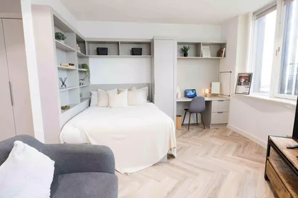 Stylish studio in {area}