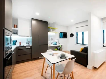 Monolocale in Grangegorman Lower, immagine 5 di 14