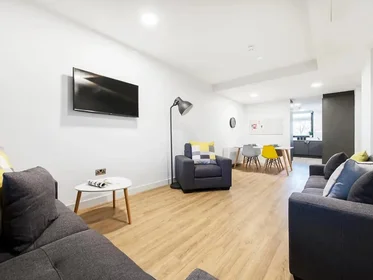 Monolocale in Grangegorman Lower, immagine 8 di 14