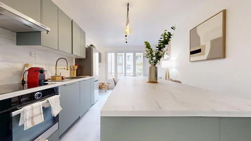 私人房间 在 12 Rue Charles Dumont, 21000 Dijon, France, 21的图像16