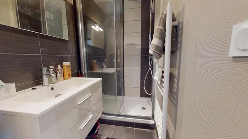 Stanza privata in 361 Bis, 361 Rue Garibaldi, 69007 Lyon, France, immagine 16 di 18