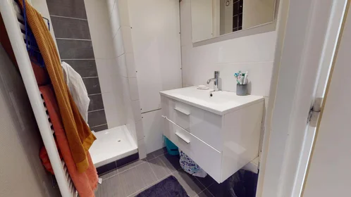 Stanza privata in 361 Bis, 361 Rue Garibaldi, 69007 Lyon, France, immagine 17 di 18