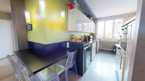 Stanza privata in 361 Bis, 361 Rue Garibaldi, 69007 Lyon, France, immagine 6 di 18