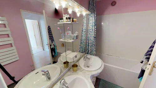 Stanza privata in 19 Rue des Trois Pierres, 69007 Lyon, France, immagine 11 di 18