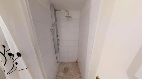 Stanza privata in 19 Rue des Trois Pierres, 69007 Lyon, France, immagine 12 di 18