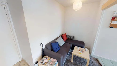 Stanza privata in 19 Rue des Trois Pierres, 69007 Lyon, France, immagine 15 di 18