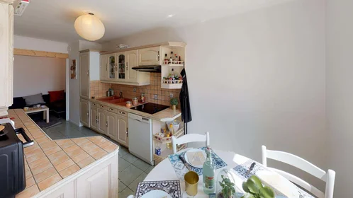 Stanza privata in 19 Rue des Trois Pierres, 69007 Lyon, France, immagine 17 di 18