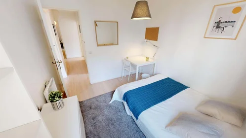 Stanza privata in 19 Rue des Trois Pierres, 69007 Lyon, France, immagine 3 di 18