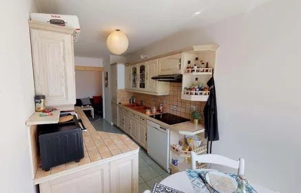 Stanza privata in 19 Rue des Trois Pierres, 69007 Lyon, France, immagine 7 di 18