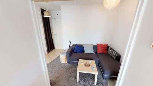 Stanza privata in 19 Rue des Trois Pierres, 69007 Lyon, France, immagine 9 di 18