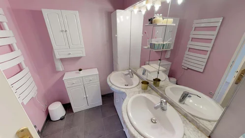Stanza privata in 19 Rue des Trois Pierres, 69007 Lyon, France, immagine 10 di 18