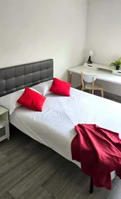 Alquiler de habitación en piso compartido en {area}
