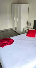 Chambre privée à C. de Cartago, San Blas-Canillejas, 28022 Madrid, Spain, image 4 de 15