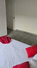 Chambre privée à C. de Cartago, San Blas-Canillejas, 28022 Madrid, Spain, image 5 de 15