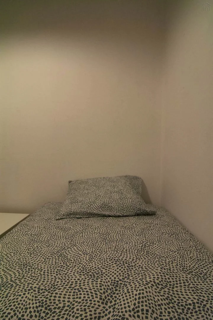 Bezahlbares Zimmer für Studenten mit ausreichender Beleuchtung in 