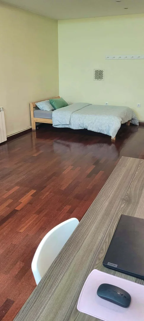 Comfortable and spacious student room in 