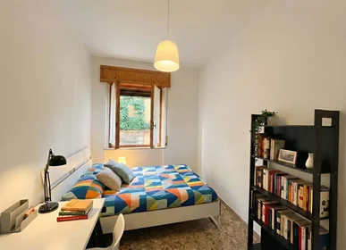 Room for rent in a shared flat in {area}