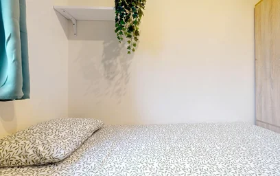 Private room at Olbrachta, image 3 of 15