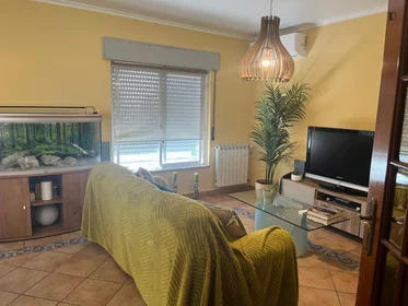 Privatzimmer in der Rua Vasco Botelho do Amaral, bild 26 von 41