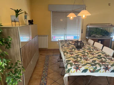 Privatzimmer in der Rua Vasco Botelho do Amaral, bild 28 von 41