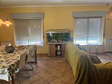 Privatzimmer in der Rua Vasco Botelho do Amaral, bild 32 von 41