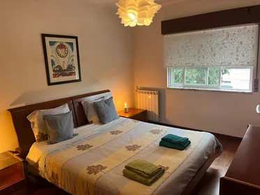 Privatzimmer in der Rua Vasco Botelho do Amaral, bild 41 von 41