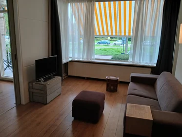 Renting rooms by the month in {area}