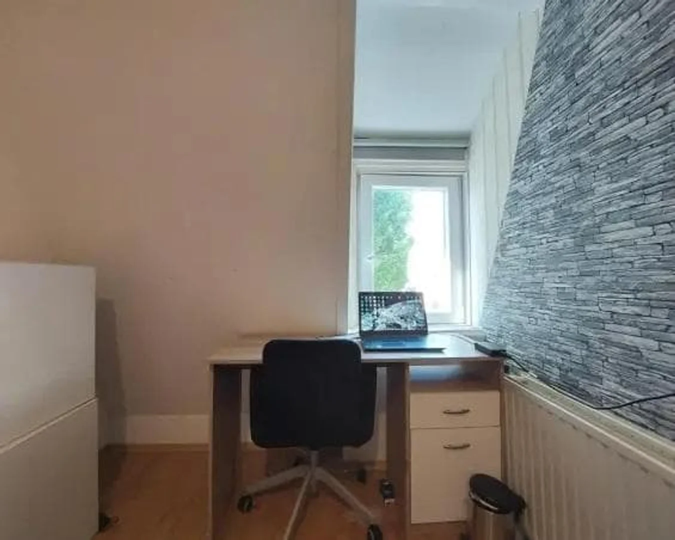 'de modern olanaklara sahip öğrenci dostu oda