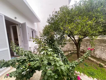 Stanza privata in Lerou, immagine 15 di 15