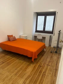 Prywatny pokój Rua Dr. Augusto Rocha, obraz 1 12