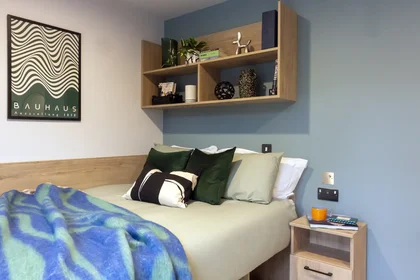 Private room at Queen Street Place Galway H91 P8P7, image 6 of 12
