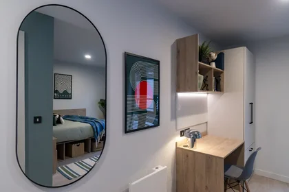 Private room at Queen Street Place Galway H91 P8P7, image 7 of 12