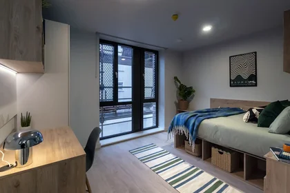 Private room at Queen Street Place Galway H91 P8P7, image 9 of 12