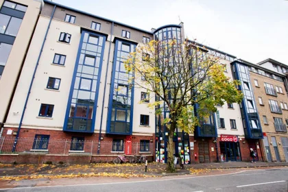 Room for rent in a shared flat in {area}
