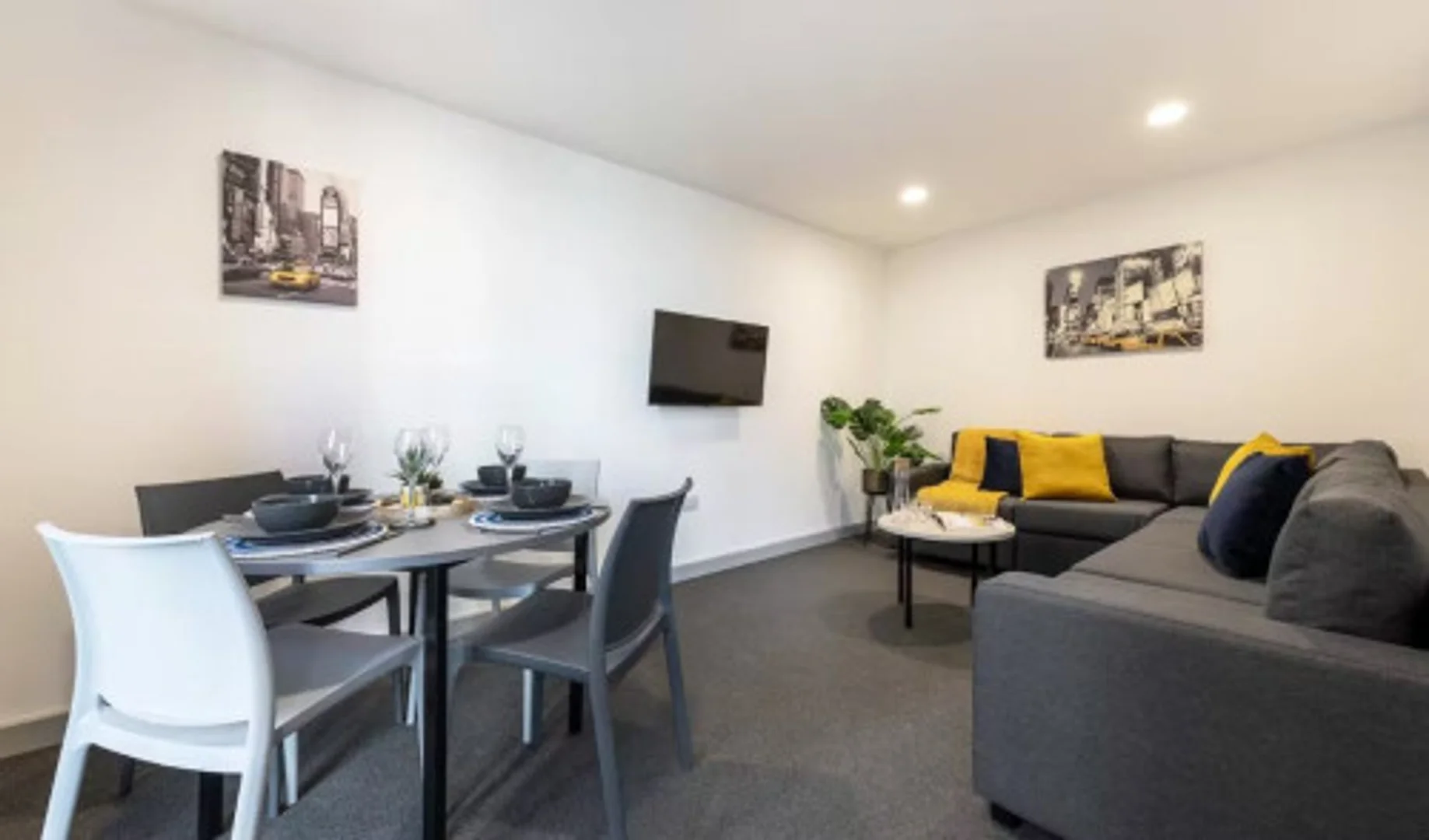 Affordable room for students with ample lighting in 