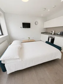Entire apartment at 6D ALBANY HOUSE, 68-83 STATION ROAD, image 5 of 12