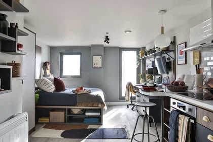 Stylish studio in {area}