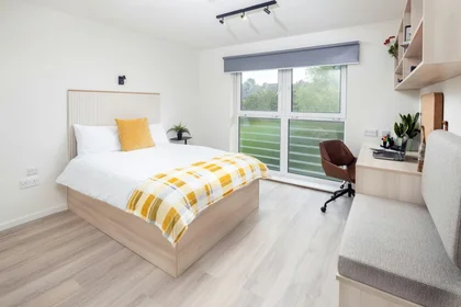 Habitación en alquiler con cama doble {area}