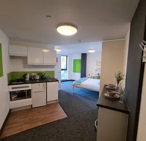 单间公寓 在住宅内 在 St James' Point Pitt Street, Newcastle upon Tyne NE4 5SU, United Kingdom, 32的图像2