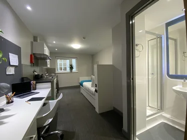 Studio im Wohnheim in der College Square E, Belfast BT1 6DJ, United Kingdom, bild 2 von 36
