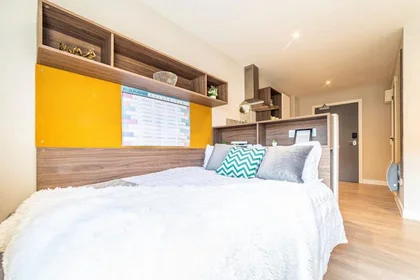 Studio très lumineux à louer à {area}