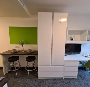 单间公寓 在住宅内 在 St James' Point Pitt Street, Newcastle upon Tyne NE4 5SU, United Kingdom, 34的图像2